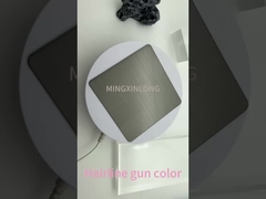 Hoofdlijn pistool roestvrij staalplaat