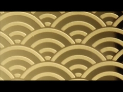 goud roosgoud spiegel 304 etsen roestvrij staalplaat