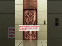 Metalen staal Gua Sha prijs van lift passagiers lift controller