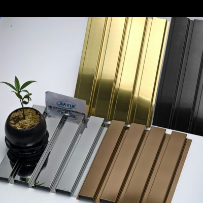 Long-Lasting And Scratch-Resistant Great Wall Panel Stainless Steel Trim Strips For Design Professionals