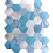 Hexagon Decoratieve de Muurtegels 48 X 48MM van het Metaalmozaïek Gemengd Zwart-wit