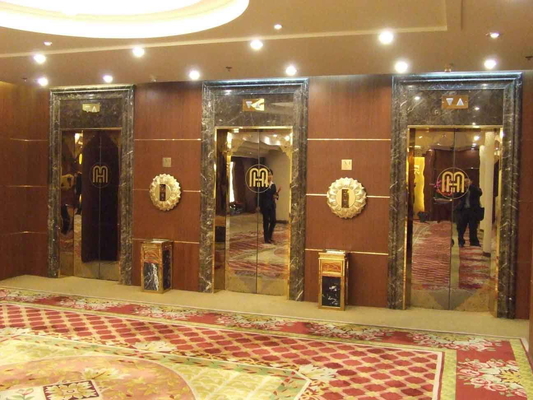 Van het het Roestvrije staalblad van de slijtageweerstand de Gekleurde van de de Etsspiegel Gouden Decoratie van het de Plaathotel
