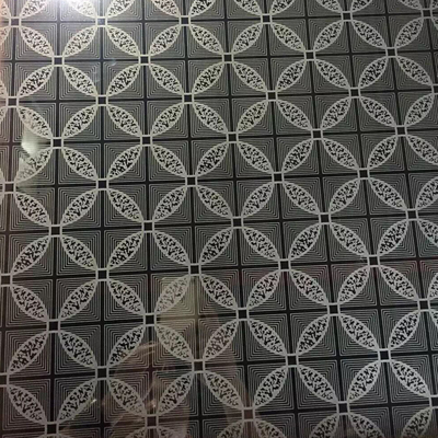 309S geëtste Zilveren Decoratieve de Kleuren Automatische Lift van het Roestvrij staalblad