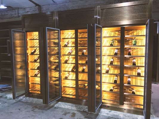 Goede prijs Privé Aangepast Grootteontwerp van het Gekleurde Kabinet van de Roestvrij staalwijn online